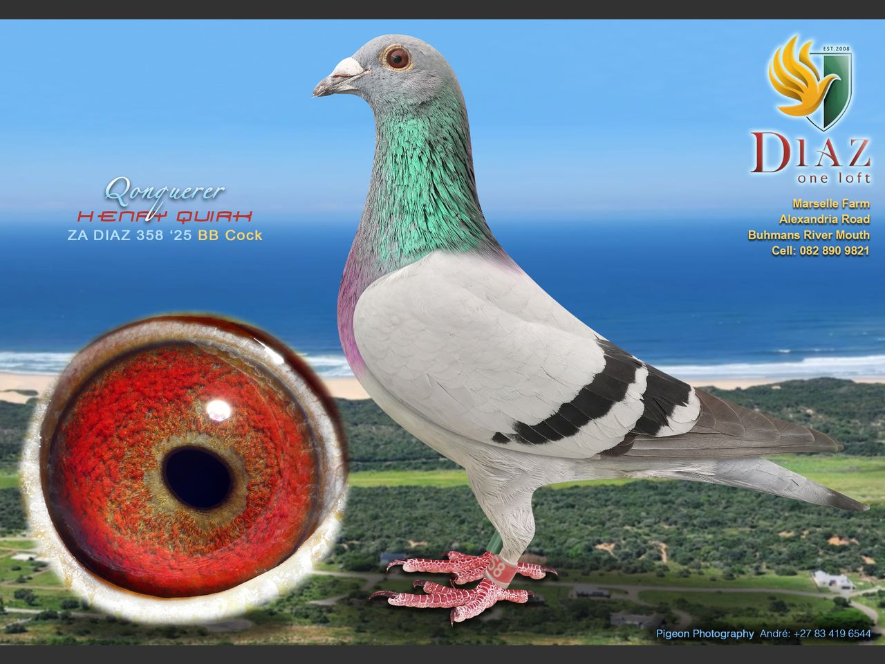 images