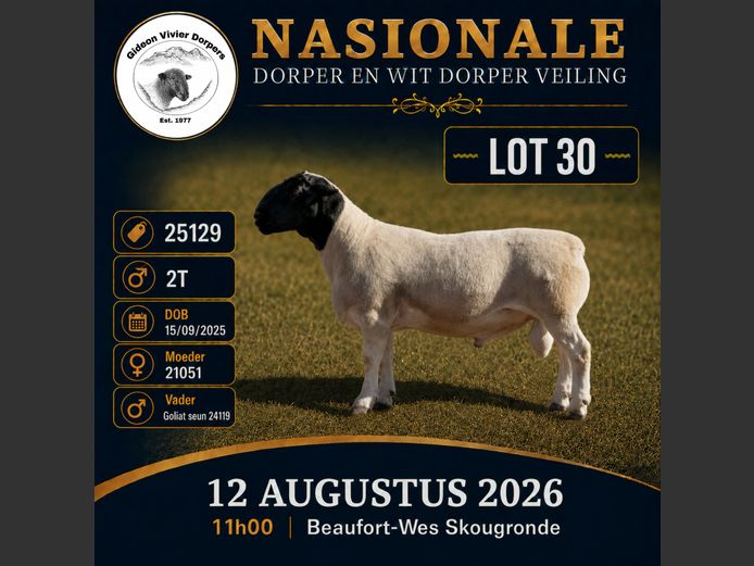 1039 25 0129 | MNR. G. VIVIER