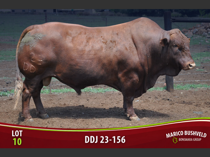 DDJ230156 HH(c) | DEWALD DE JAGER BELEG. TRUST