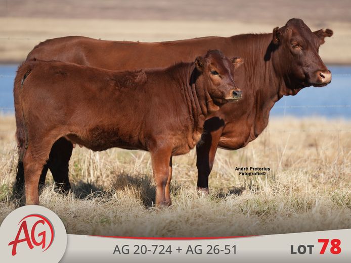 AG200724 HH(c) | ARTHUR DE VILLIERS & SEUN