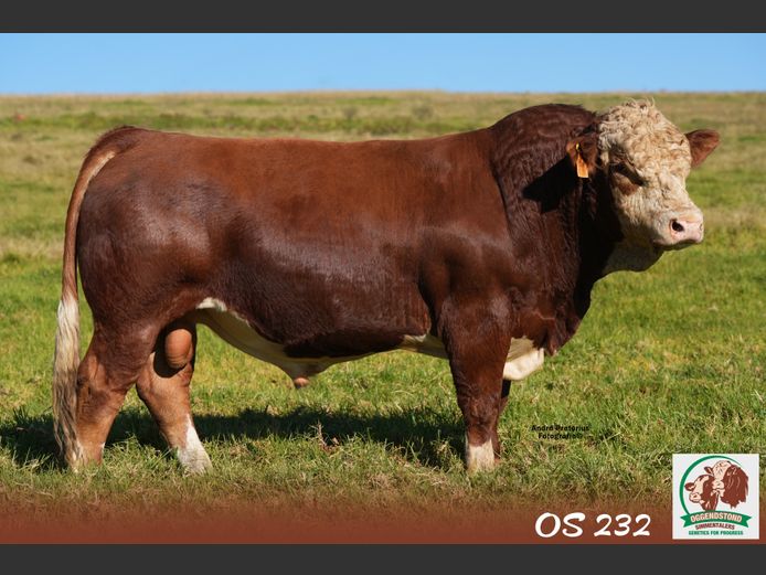OS232 | OGGENDSTOND BOERDERY CC