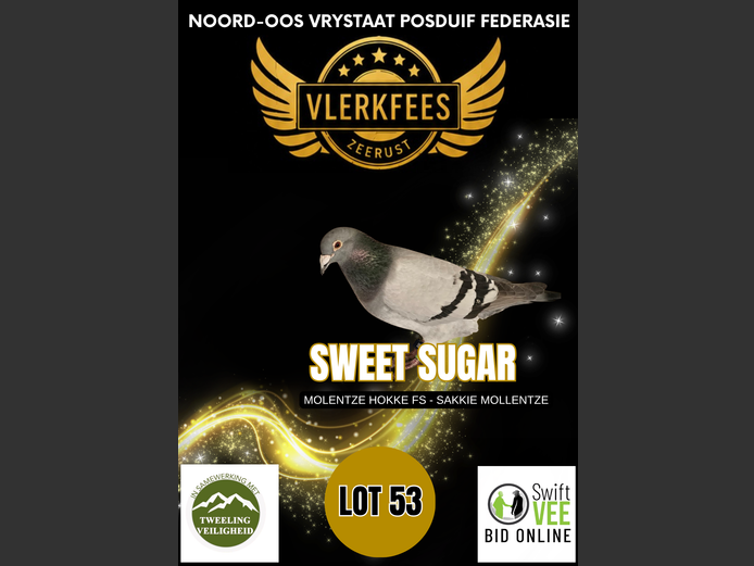 SWEET SUGAR | MOLENTZE HOKKE FS - SAKKIE MOLLENTZE