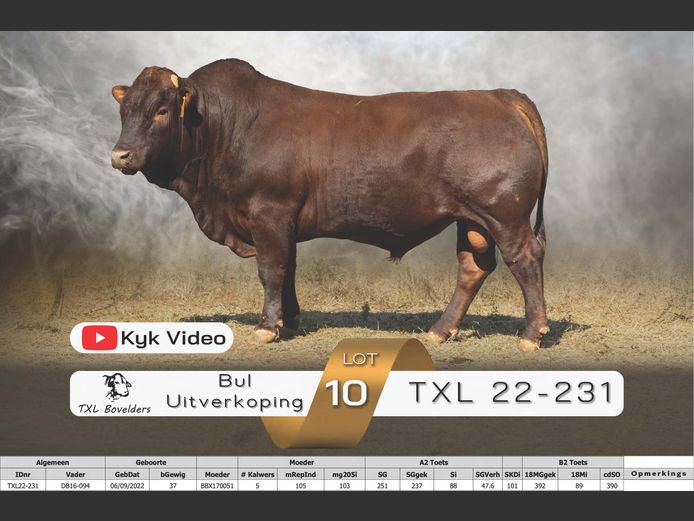 TXL22-231