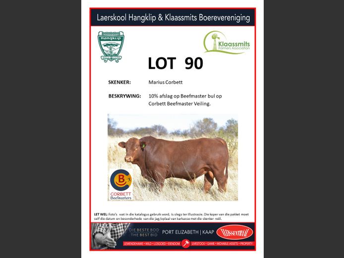 10% afslag op Beefmaster bul op Corbett Beefmasters veiling | Marius Corbett