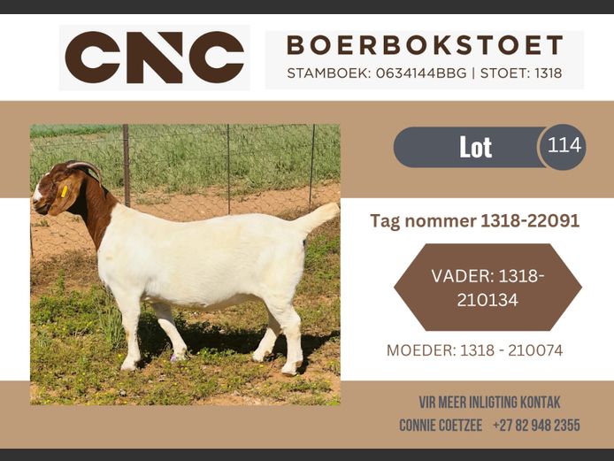 1318220091 | CNC Boerbokstoet