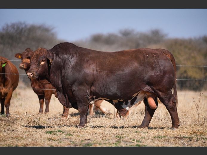 BOG 210020 | BEEF ON GRASS PTY LTD