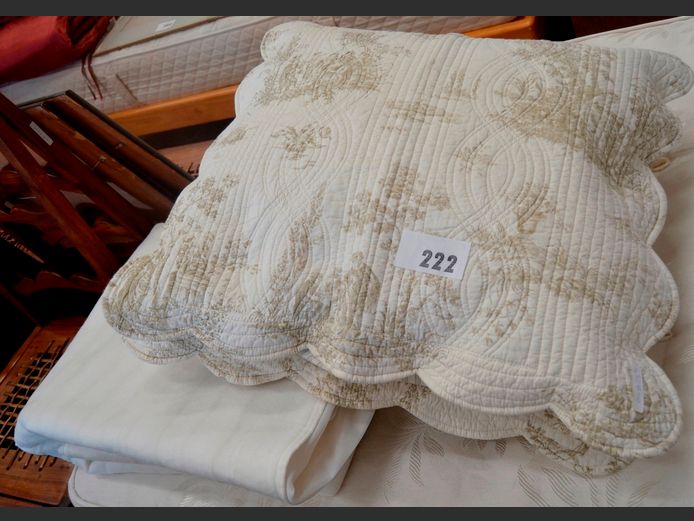 PAIR SCATTER CUSHIONS & A QUEEN SIZE ELECTRIC BLANKET [Untested]