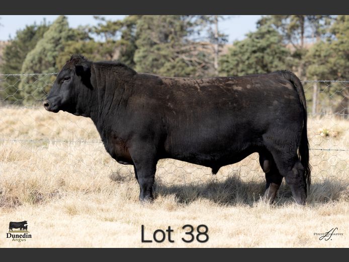 KCM 230011 | TABLE HILL FARMING PTY LTD