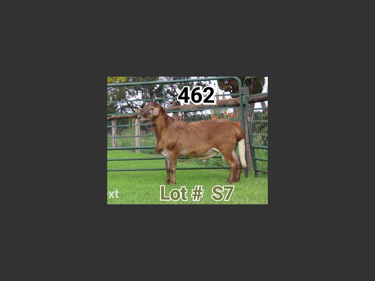 images