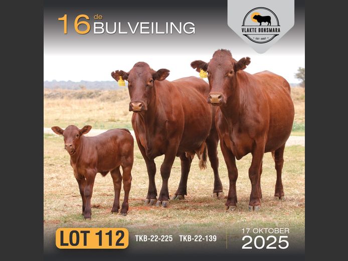 Commercial Animals | TKB BONSMARAS