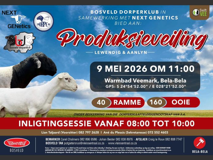 BOSVELD DORPERKLUB & NEXT GENETICS PRODUKSIEVEILING