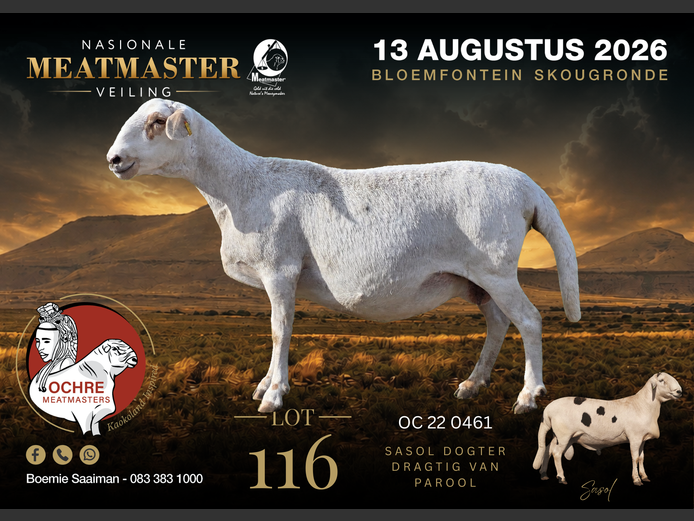 OC 22 0461 | Ochre Meatmasters