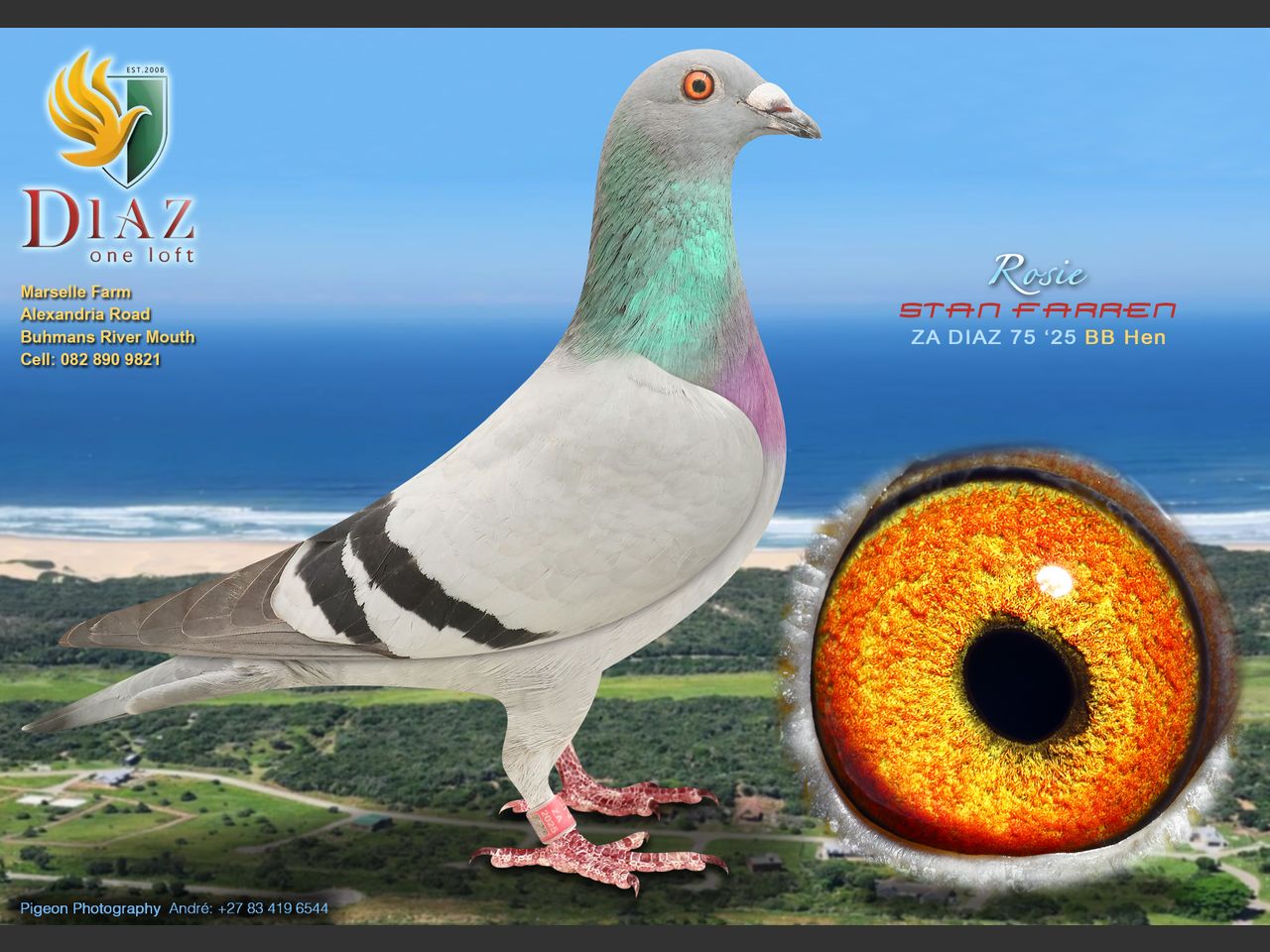 images