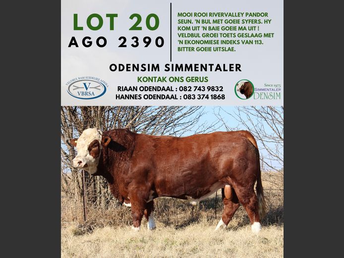 AGO2390 | AG ODENDAAL