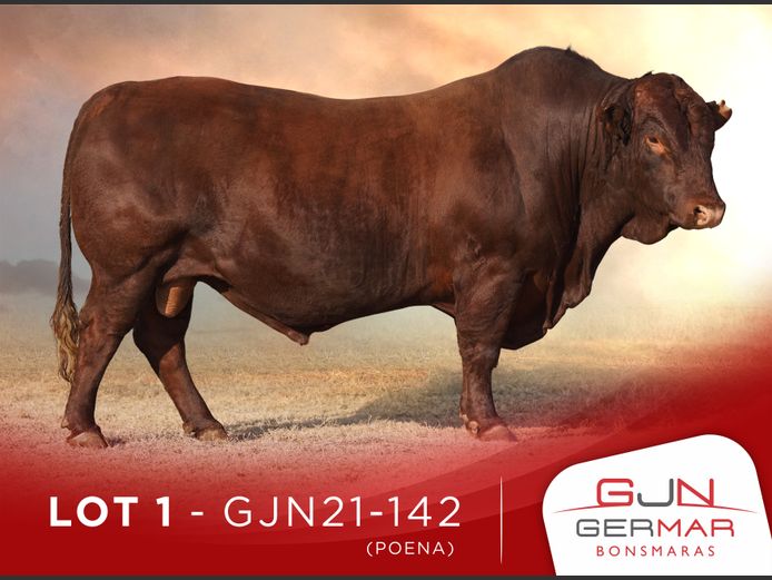 GJN 210142