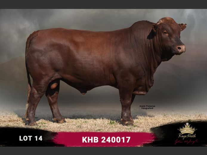 KHB 240017