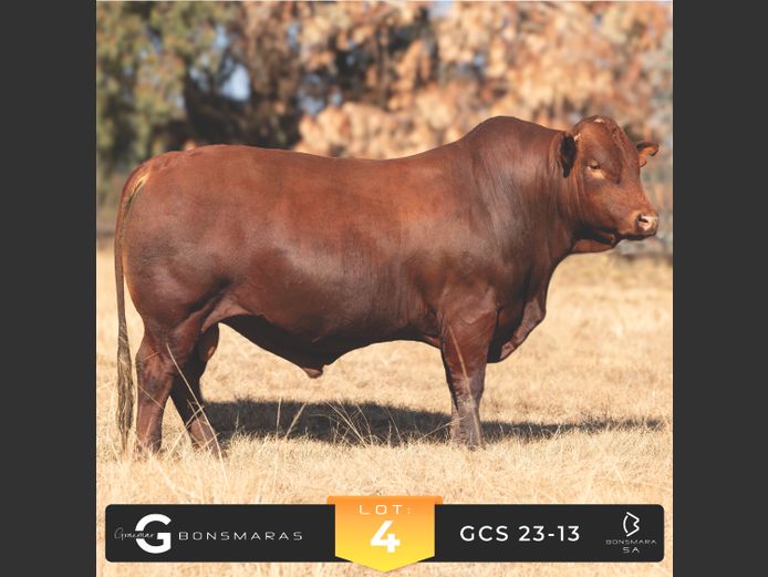 GCS 230013 | G.C. STANFORD