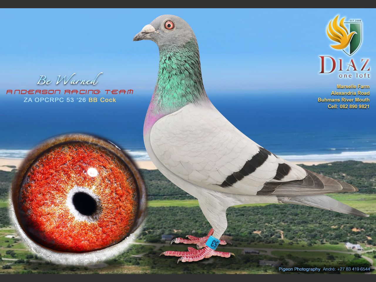images