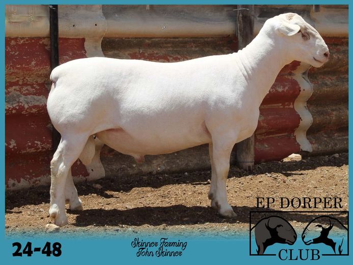 24-48 | ***John Skinner - Skinner Farming