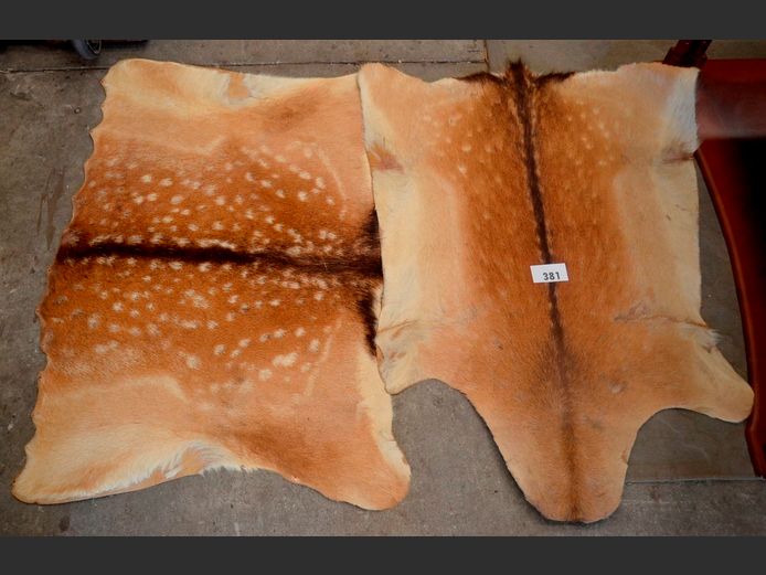 LOT: 2 x GAME HIDES, 100 x 68cm & 95 x 68cm
