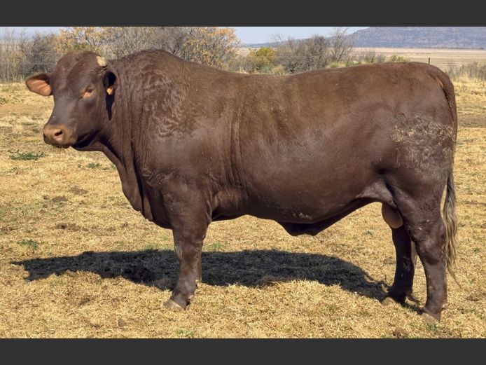 SP 230118 HH | PINEKLOOF TRUST