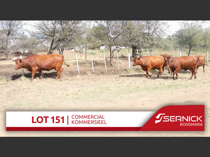 Commercial Animals