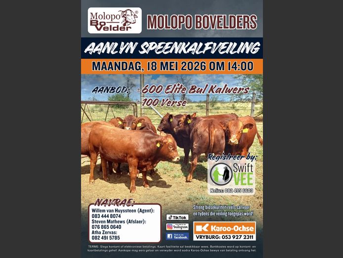 MOLOPO BOVELDER AANLYN SPEENKALF VEILING