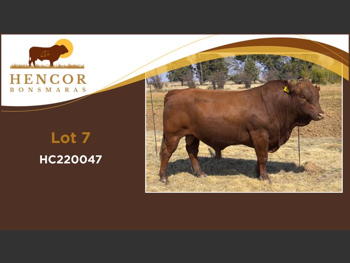 HC  220047 | HENCOR BOERDERY