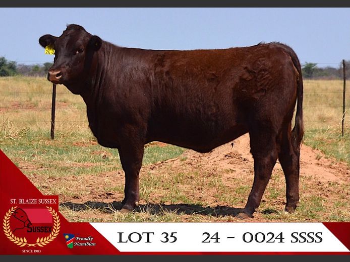 24-0024SSS | ST. BLAIZE SUSSEX