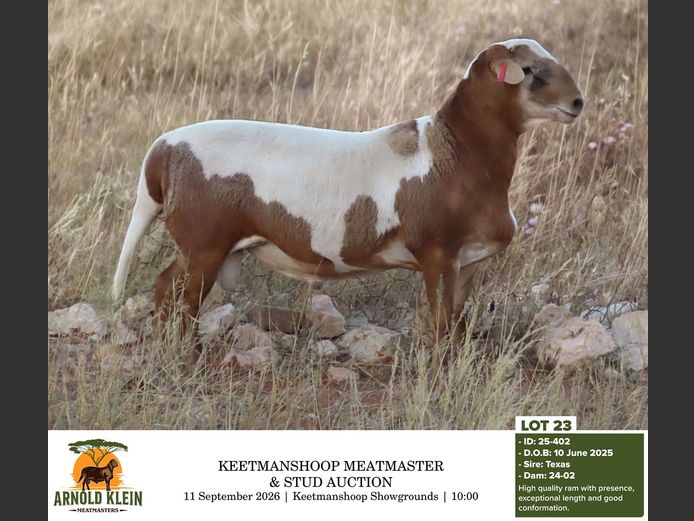 25-402 | Arnold Klein Meatmasters