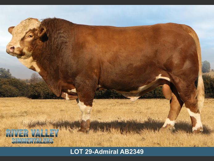 AB2349 | PA ABRAHAMSE