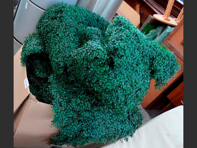 LOT: PLASTIC GROUND COVER