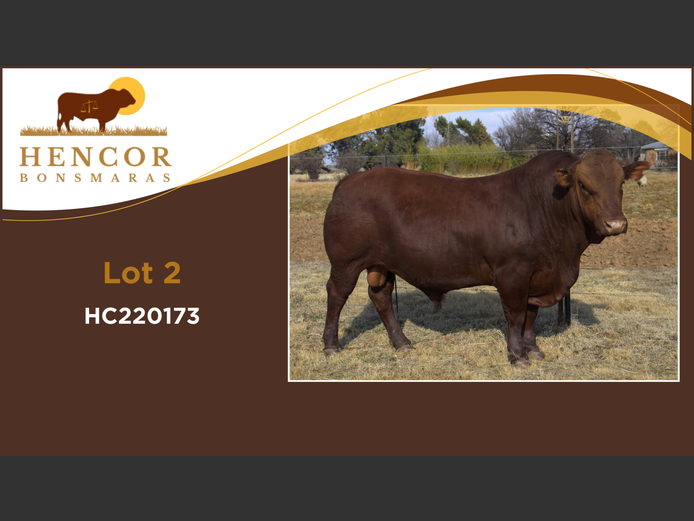 HC  220173 | HENCOR BOERDERY