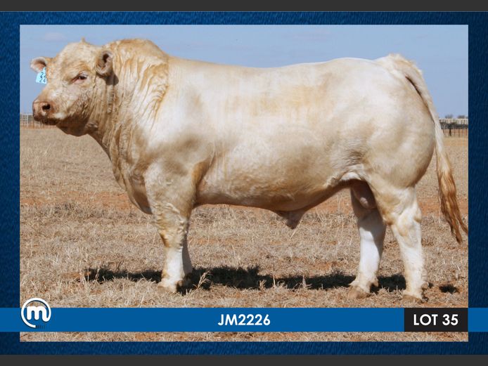 JM 220026