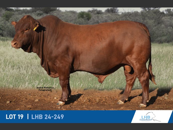LHB240249P | LEEUHEUWEL BOERDERY (EDMS) BPK