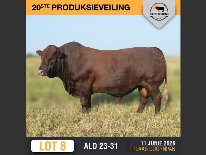ALD230031 | ALDIGO BONSMARAS