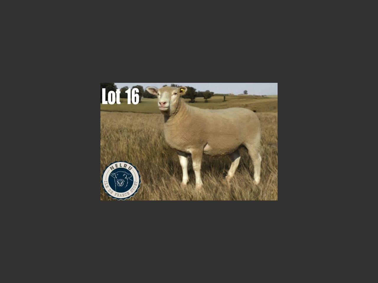 images