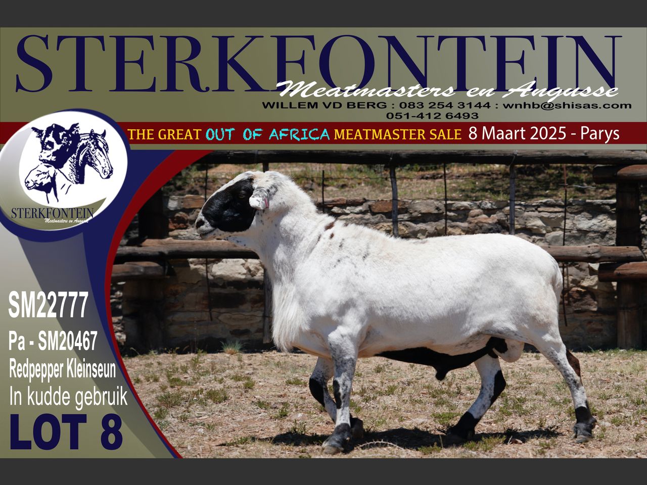 Lot 8 | THE GREAT OUT OF AFRICA MEATMASTER SALE | SwiftVEE | South ...