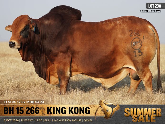 SEMEN LOT | BH150266 | B. HURWITZ FARMING