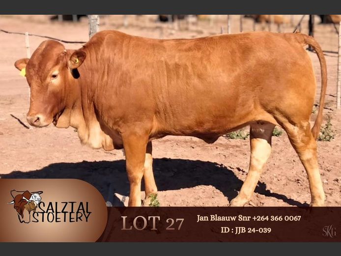 JJB 240039 | SALZTAL STOETERY