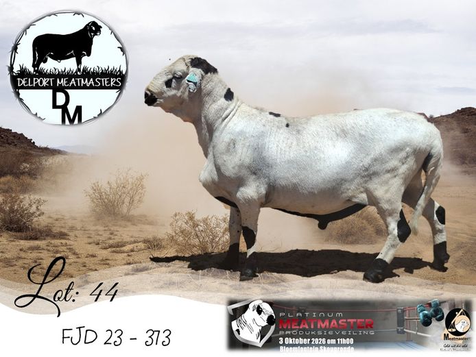 FJD 23-373 | Delport Boerdery