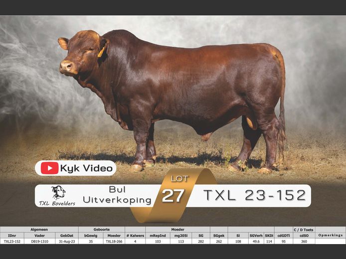 TXL23-152