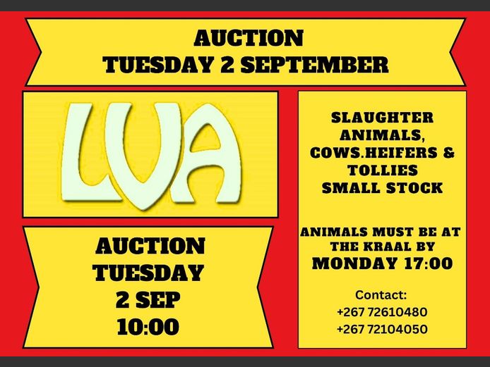 LVA WEEKLY SCALE AUCTION 