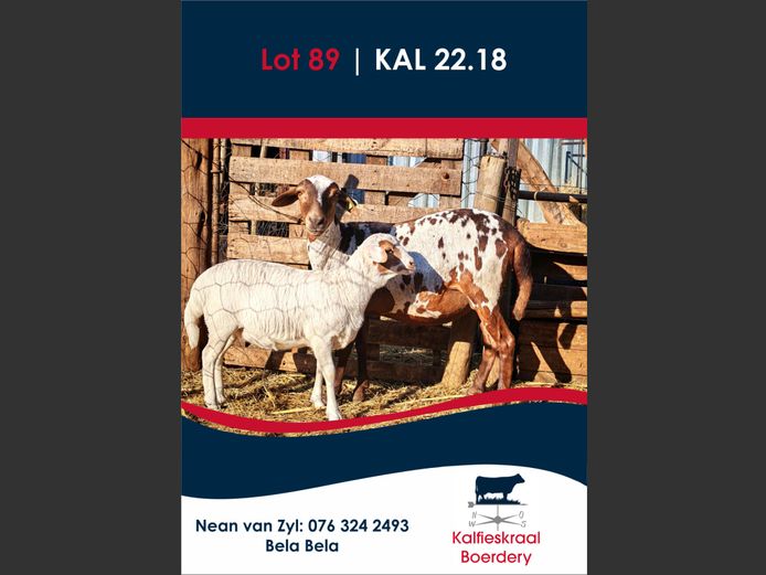 22.18 | KALFIESKRAAL BOERDERY