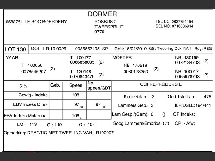 DOMFLR190026