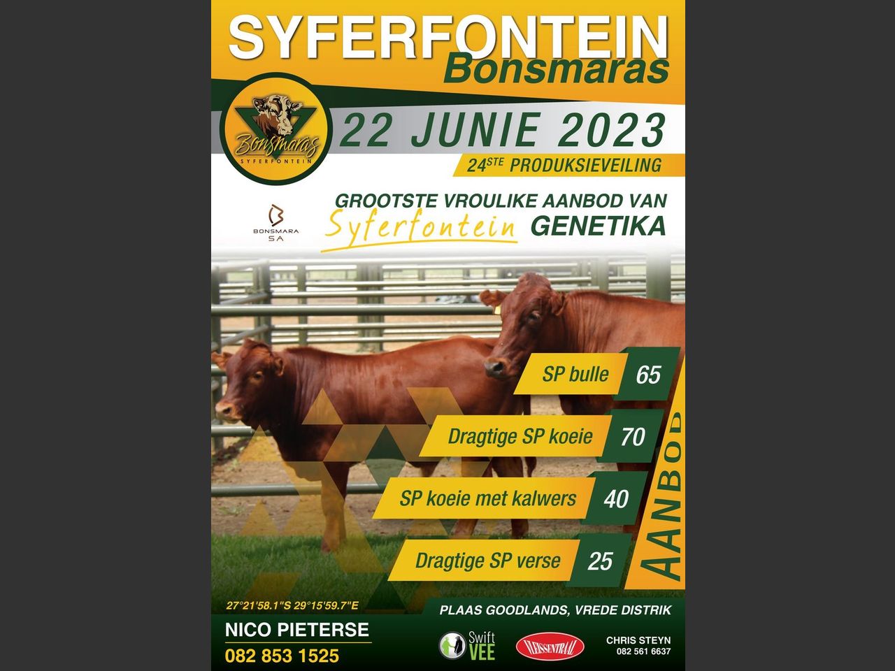SYFERFONTEIN BONSMARAS 24STE PRODUKSIEVEILING | SwiftVEE | South Africa ...