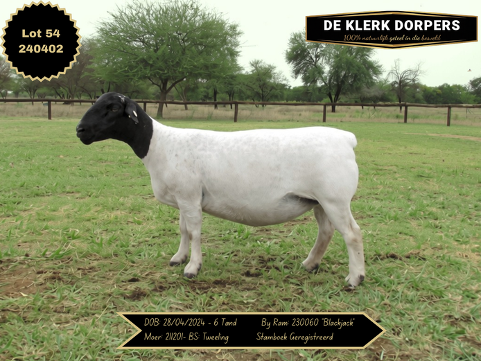240402 | DE KLERK DORPERS