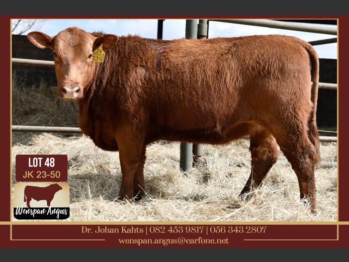 JK 230050 | J. KAHTS