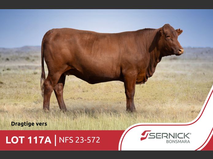 NFS 230572 Pp(c) | SERNICK BONSMARA STOET