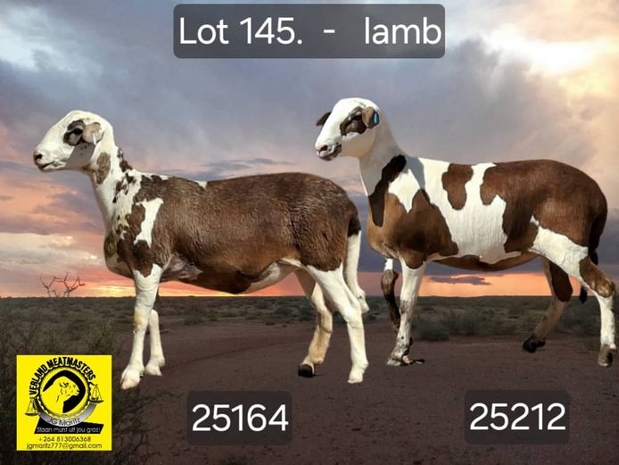 25212 | 25164 | VERLAND MEATMASTERS